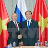 APEC 2017: Vietnamese, Russian Presidents hold meeting 