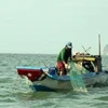 Vietnam seafood mulls action on EU warning