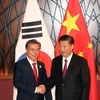 APEC 2017: Chinese President meets Japanese, Korean leaders