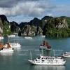 Quang Ninh approves Ha Long – Co To seaplane route