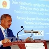 Vietnam-Tatarstan Business Forum opens in Ho Chi Minh City 