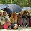 Myanmar, Bangladesh begin talks to repatriate Rohingya people
