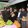  Festival promotes Bac Giang fruit industry
