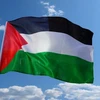 Vietnam supports solidarity with Palestinian people