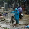 UN helps Vietnam surmount typhoon Damrey consequences 