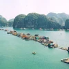 Old floating villages open to tourists