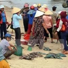 PM directs stockpiled seafood settlement in marine incident-hit provinces