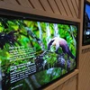  Exhibition shows biodiversity of Vietnam, Taiwan