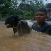 Cyclone death toll in Indonesia increases to 41