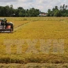 Initiatives to promote sustainable rice production honoured