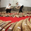 China police seize ivory smuggled via Vietnam border