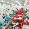 Seafood export turnover expected to hit 8.3 billion USD