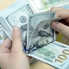 Remittances to hit 5.2 billion USD this year
