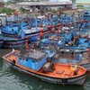 Quang Ngai asked to roll out measures to end illegal fishing