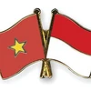 Seminar spotlights Vietnam-Indonesia partnership