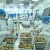 Vietnam’s exports likely to hit all-high 212 billion USD this year