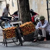 Hanoi seeks to protect sidewalks from drivers