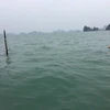 Quang Ninh: ship sinks, all 31 Chinese tourists saved 