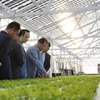 FLC to invest 1.5 billion USD in hi-tech farm