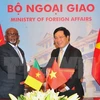 Cameroon keen on broadening affiliation with Vietnam 