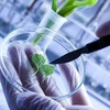 RoK to spend 328 mln USD to develop bio tech in 2018