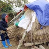 Cold weather hits northern provinces