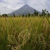 Philippines raises volcano alert level