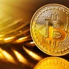Indonesia tightens bitcoin use