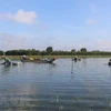 Flood-based livelihoods to help Mekong Delta’s water storage