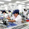 Vietnam’s shadow economy sparks debate