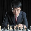 Vietnam’s Grandmaster wins ninth match at Chess Festival