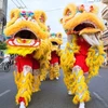 Can Tho: fourth national lion dragon dance champs opens