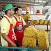 Vietnam ranks third in natural rubber production, export
