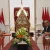 Indonesia pledges to promote human rights 