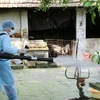 UK helps Vietnam forecast dengue fever epidemic