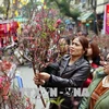 Hanoi bustling in spring days