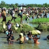 Bangladesh works with UN to repatriate Rohingya people