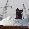 Indonesia likely to stop salt import in 2020