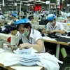 Dong Nai-based firms keep stable activities after Tet