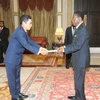 Equatorial Guinea keen on expanding ties with Vietnam