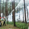 Dak Nong keeps wary eye on forests to prevent dry season fires