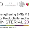 Vietnam attends OECD ministerial conference on SMEs in Mexico