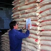Sugar prices plunge on smuggling 