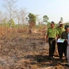 Binh Thuan faces high risk of forest fires