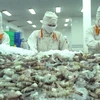 Australian delegation examines shrimp processing chain in Vietnam
