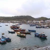 Vietnamese boats’ overseas illegal fishing down significantly