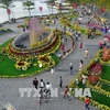 Da Nang City hosts slew of festive events 