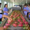 Fruit, vegetable exports continue growth trend in two months