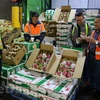 Vietnam-Australia trade gains speed in early 2018