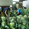 Vietnam targets 4.5 billion USD from farm produce exports by 2020